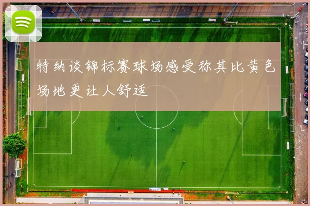 特纳谈锦标赛球场感受称其比黄色场地更让人舒适