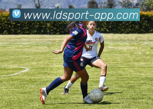 App Interface Preview