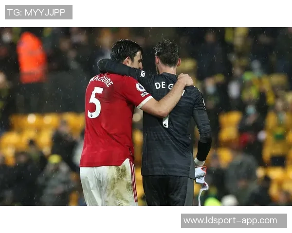 佩佩因不当言论遭批评无缘代表科特迪瓦征战非洲杯