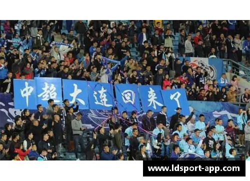 国内球员：峥嵘岁月与逐梦征程