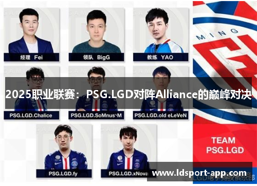 2025职业联赛：PSG.LGD对阵Alliance的巅峰对决