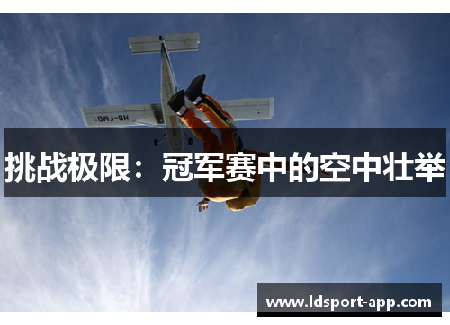 挑战极限：冠军赛中的空中壮举
