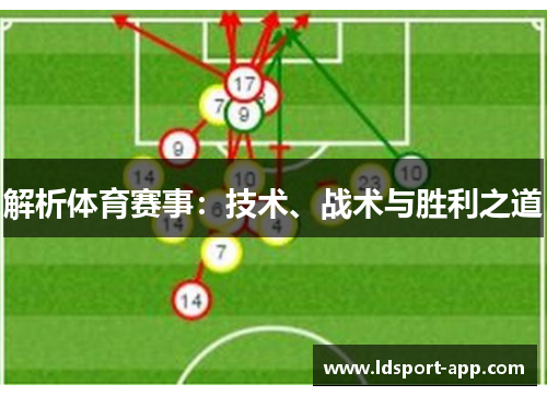 解析体育赛事：技术、战术与胜利之道